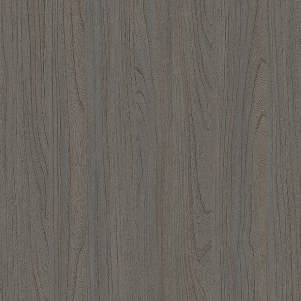 E11024 elm wangi kuno